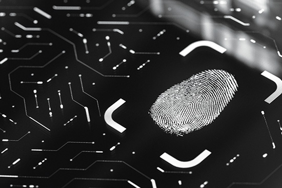 Fingerprint on digital background