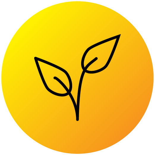 Icon of a leaf